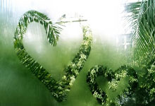 ​【足球】周四001亚洲杯U20推荐：日本U20VS韩国U20.