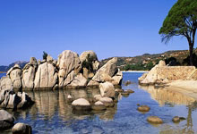 越南足協致函國際足聯與亞足聯 要求加強12強賽裁判執法水平.